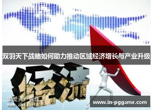 双羽天下战略如何助力推动区域经济增长与产业升级
