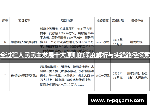 全过程人民民主发展十大原则的深度解析与实践路径探索