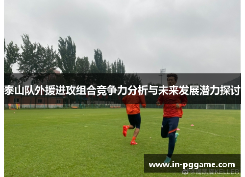 泰山队外援进攻组合竞争力分析与未来发展潜力探讨