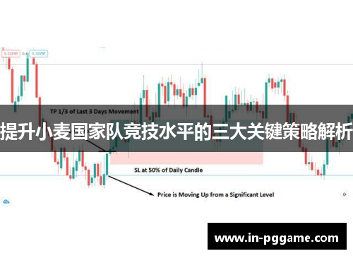 提升小麦国家队竞技水平的三大关键策略解析
